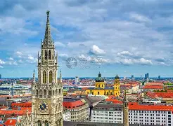 app下载-关于德国杯倒计时，法兰克福赛后官宣签约，细节引发关注，压力陡增，医务组通报恢复的信息